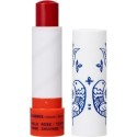 Korres Lip Balm Wild Rose Tinted Ενυδατική Φροντίδα για Χείλη με Άγριο Τριαντάφυλλο με Χρώμα 4.5g