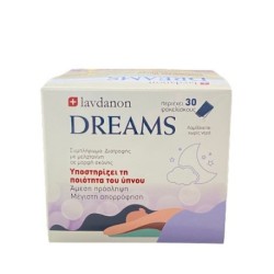 Lavdanon dreams schs